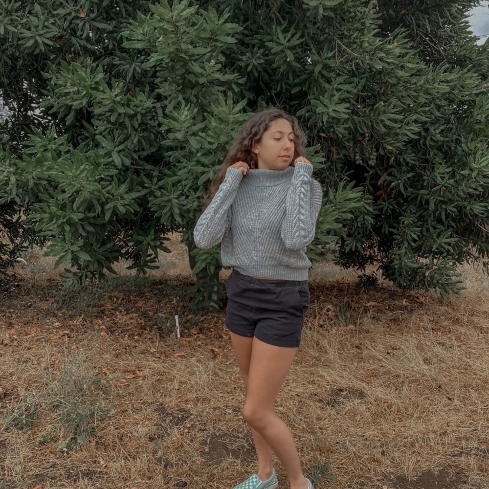 Sweater